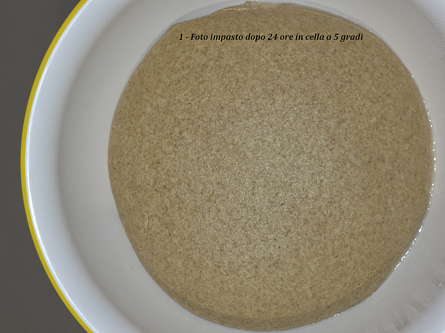 impasto integrale di grano monococco dopo 24 ore di maturazione a 5 °C con superficie liscia e uniforme