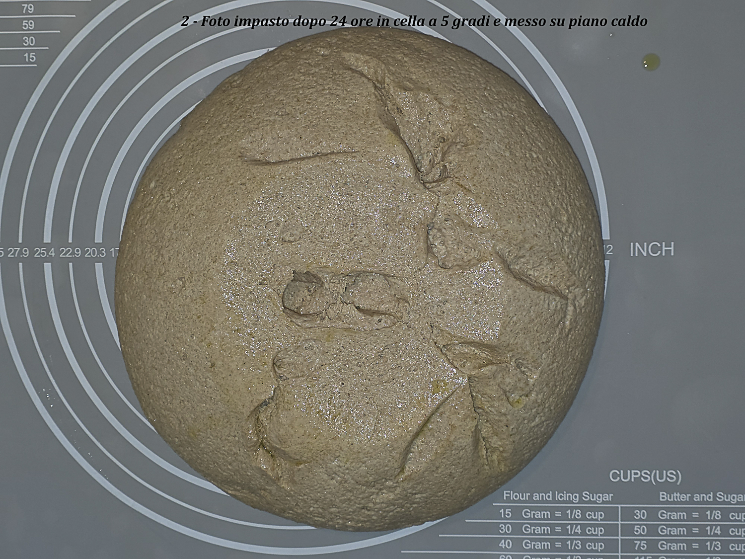 impasto di monococco rovesciato sul piano caldo dopo uscita dalla cella con apertura della struttura sul fondo