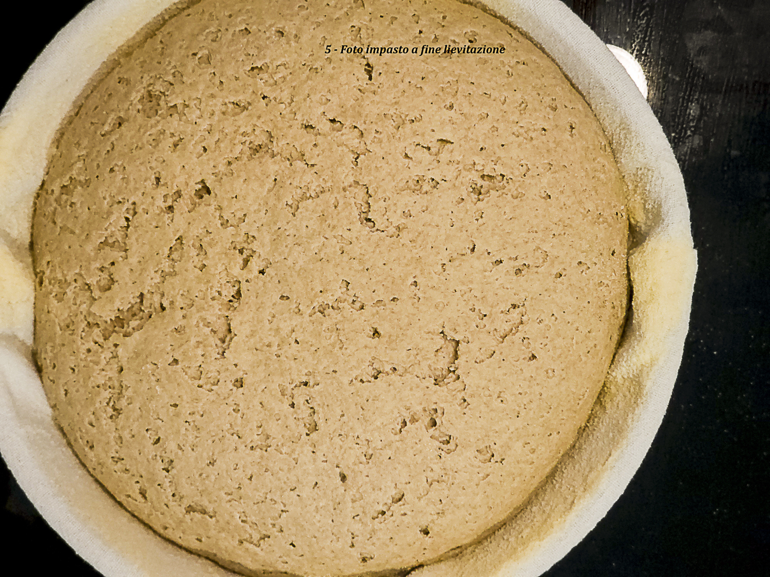 impasto di monococco a fine lievitazione nel cestino con rotture superficiali ma struttura ancora sferica