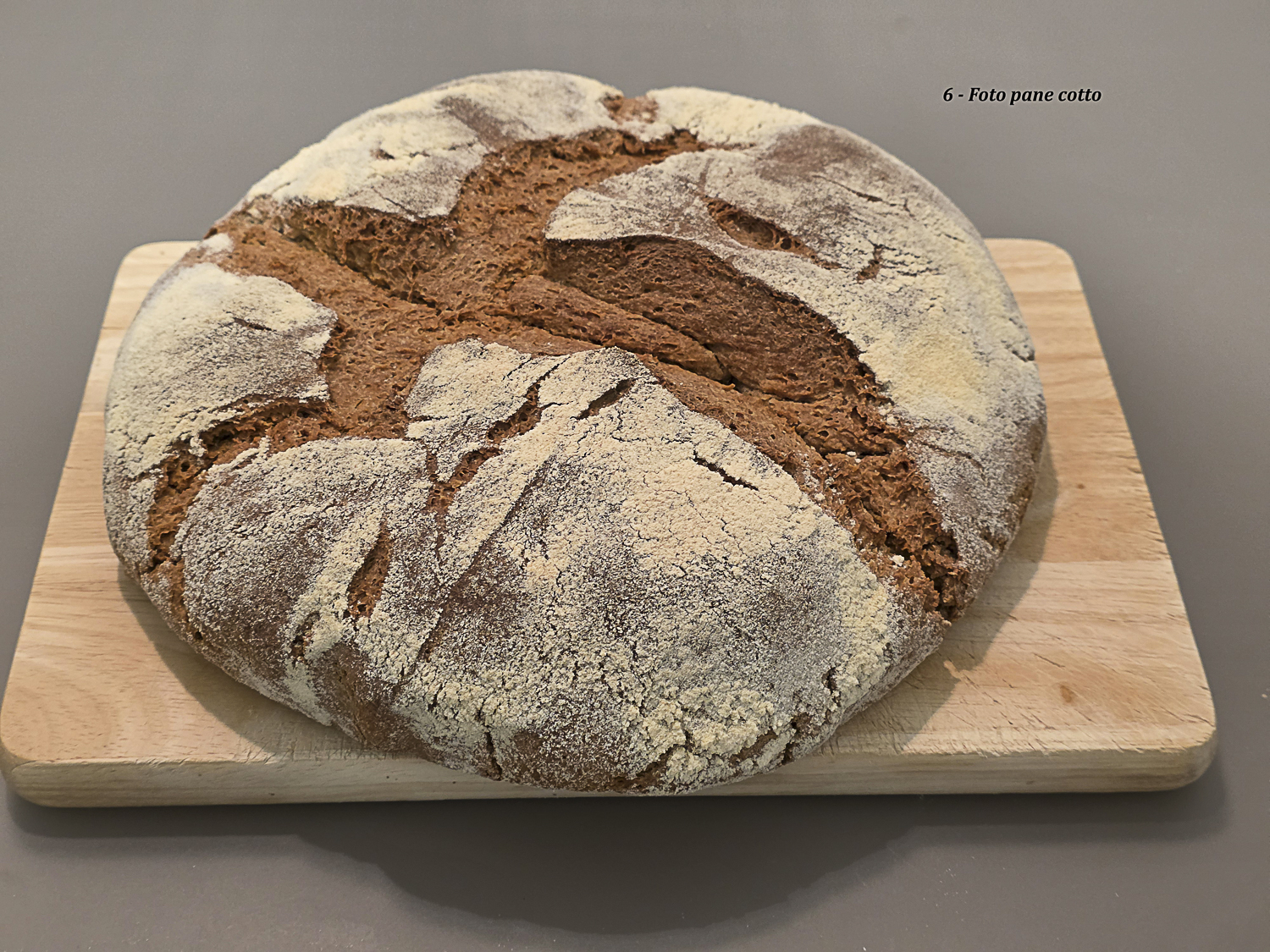 pane integrale di monococco appena cotto con apertura naturale dei lembi durante la cottura