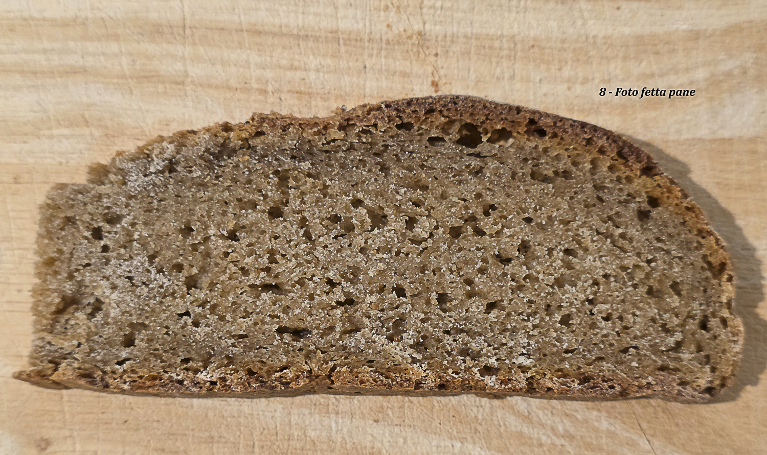 fetta di pane integrale di monococco con alveolatura distribuita e struttura della mollica elastica