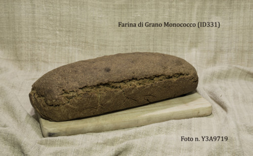 Pane di grano monococco Moi ;orenzo (ID331) Foto N. Y3A9719
