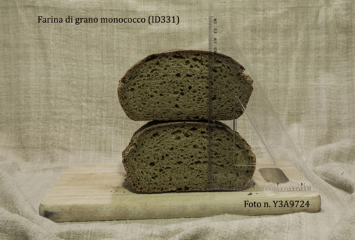 Pane di grano monococco Moi ;Lorenzo (ID331) Foto N. Y3A9724