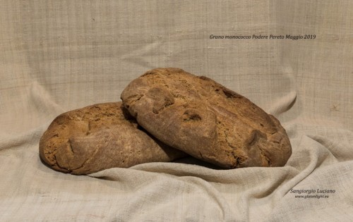 (2) - Pane farina grano monococco Podere Pereto Foto YA0830